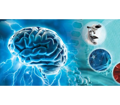 Grow New Brain Cells